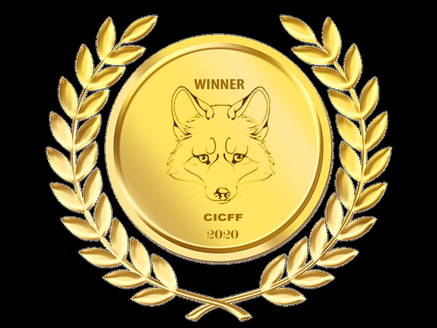 Film award — Calcutta International Cult Film Festival certificate