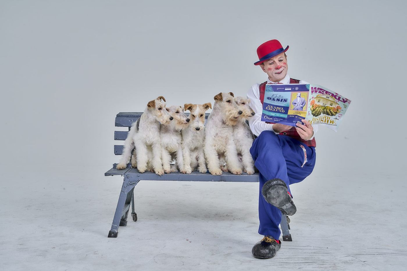 Gregory on a bench with five fox terriers