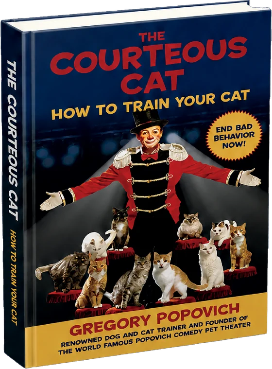 You Can Train Your Cat — book cover