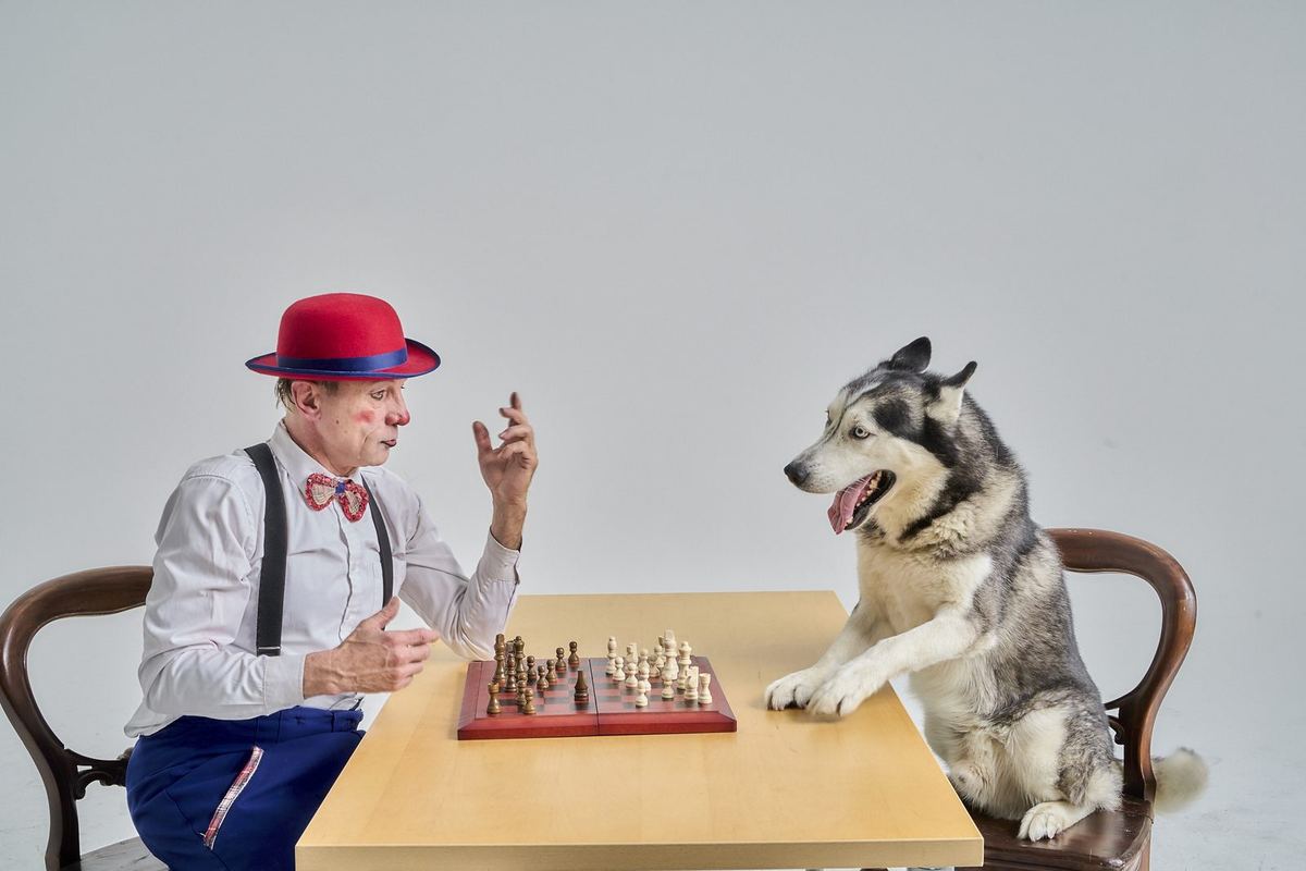 Gregory Popovich plays chess with a husky