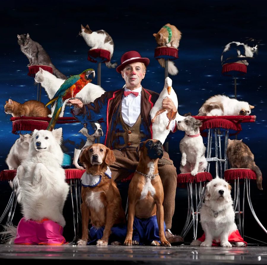 Gregory Popovich on stage with his rescued troupe
