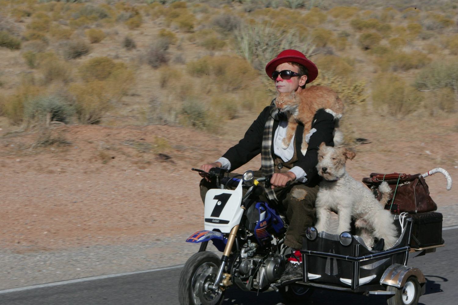 Gregory rides a mini motorcycle through the desert with his cat and terrier
